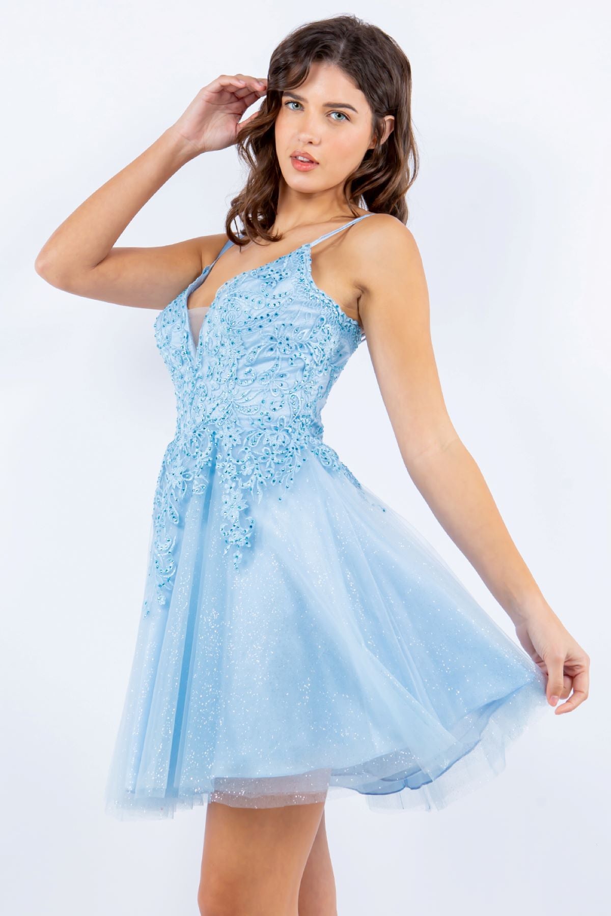 Rhinestone Embroidered Tulle Short Dress - 5125J