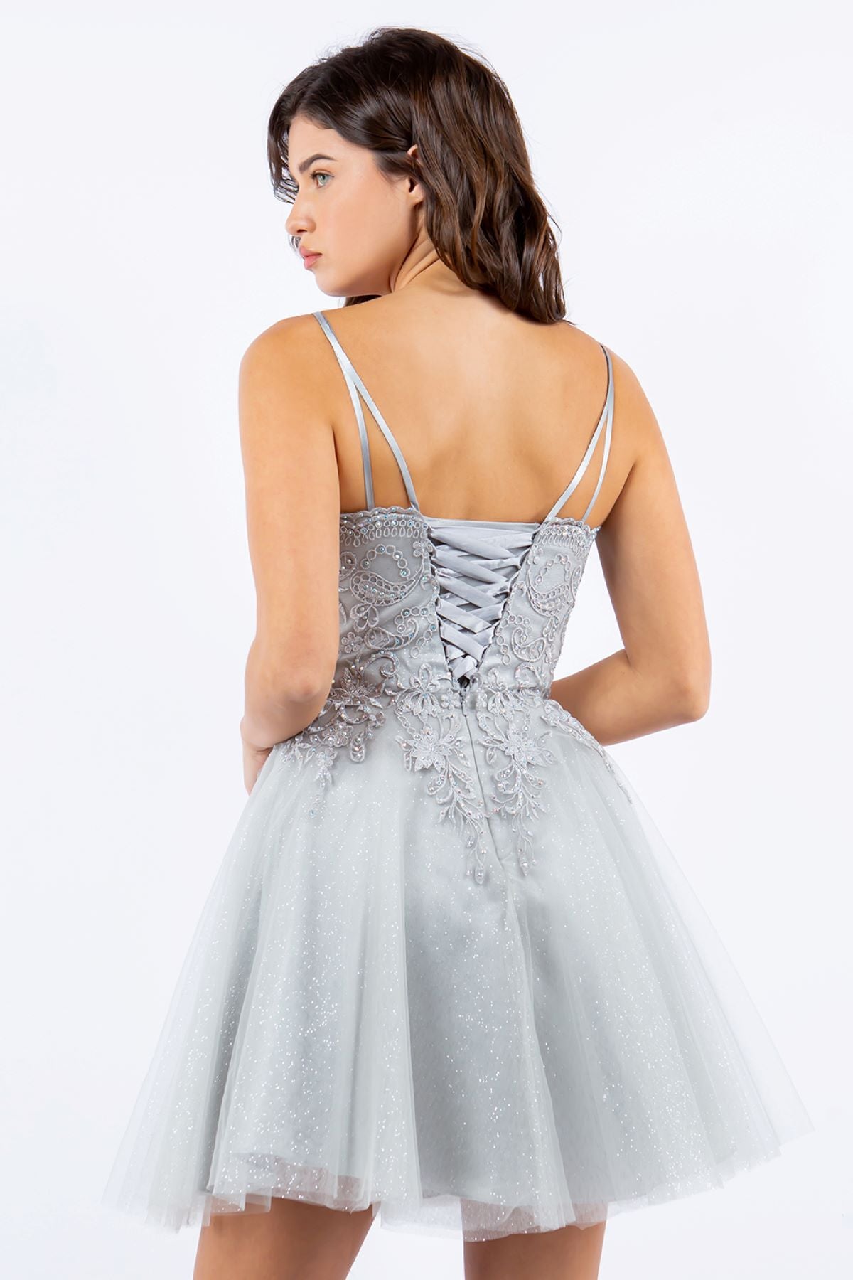 Rhinestone Embroidered Tulle Short Dress - 5125J