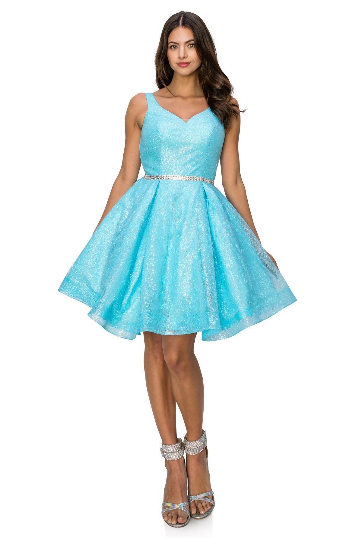 Glitter Mesh Fit & Flare Dress - 8047J