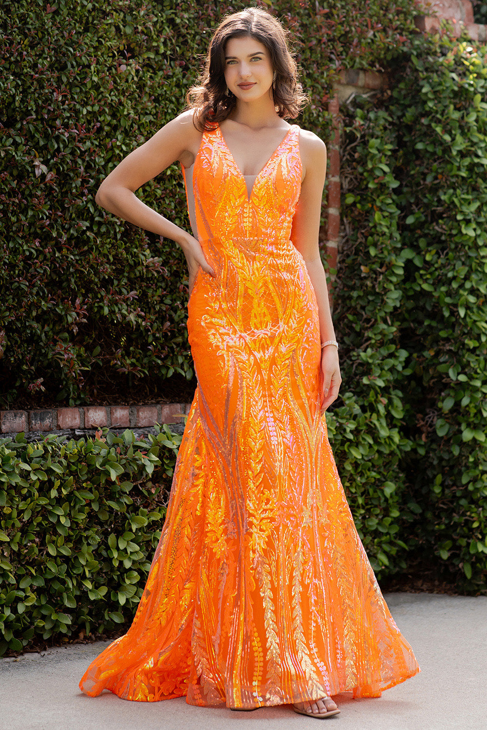 Prom Dress Collection