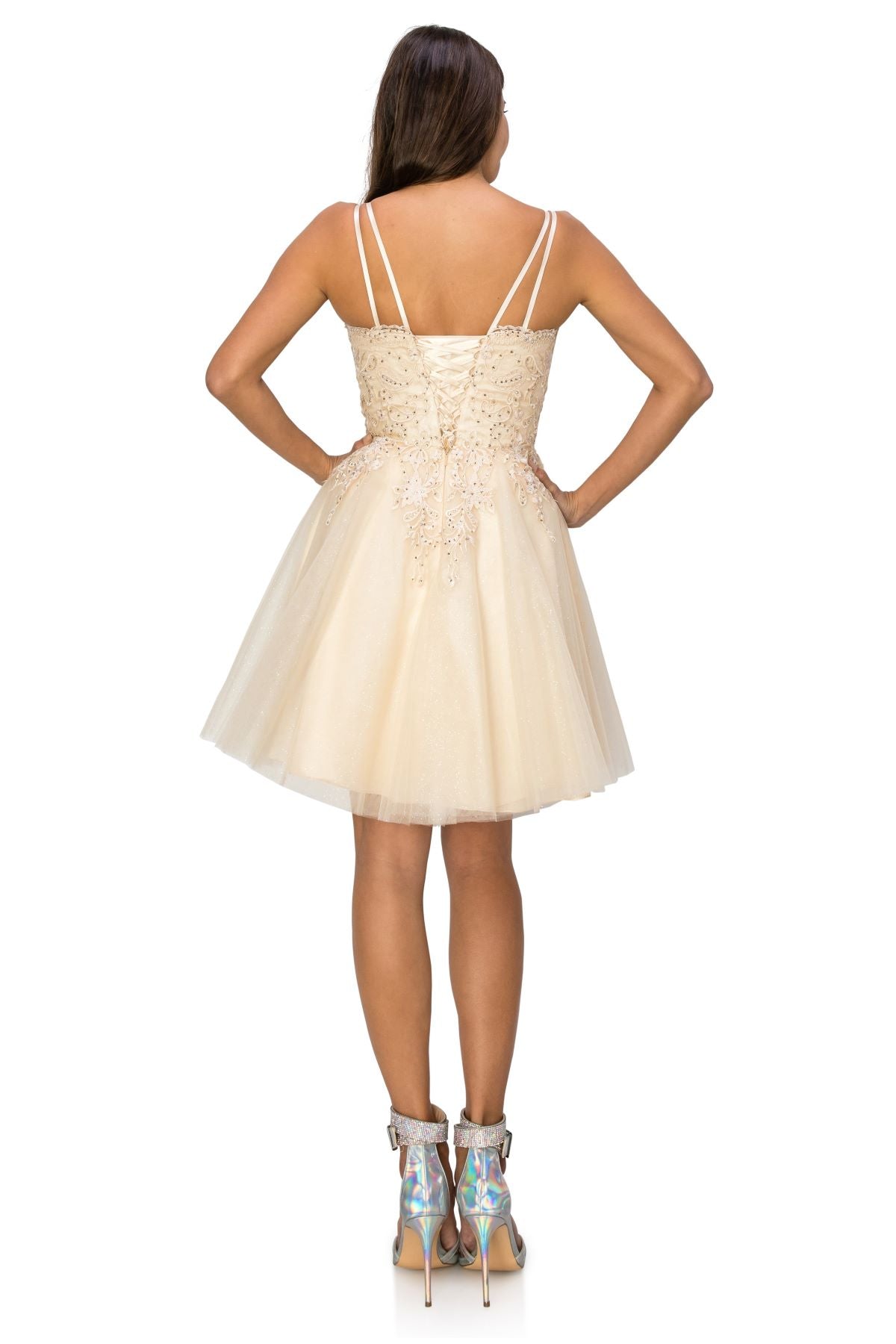 Rhinestone Embroidered Tulle Short Dress - 5125J
