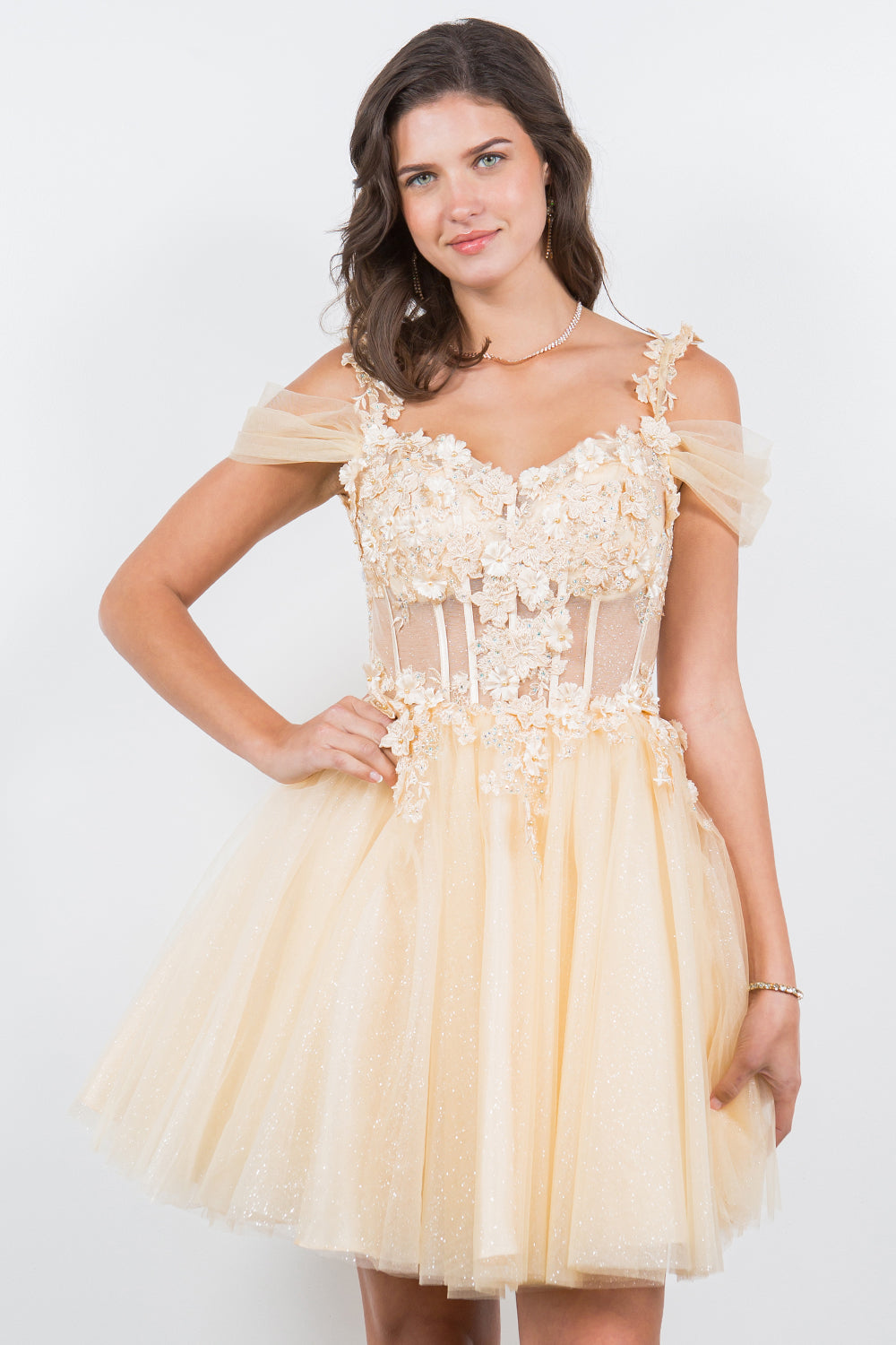 3D Floral Appliqué Corset Mini Dress - 5134J