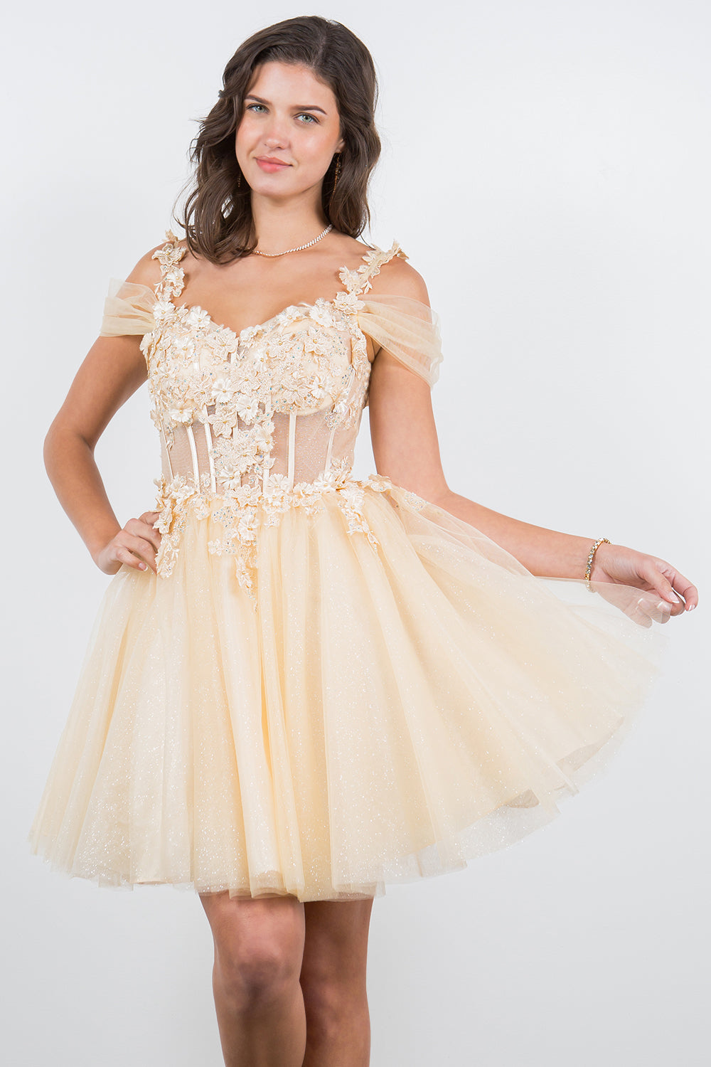 3D Floral Appliqué Corset Mini Dress - 5134J