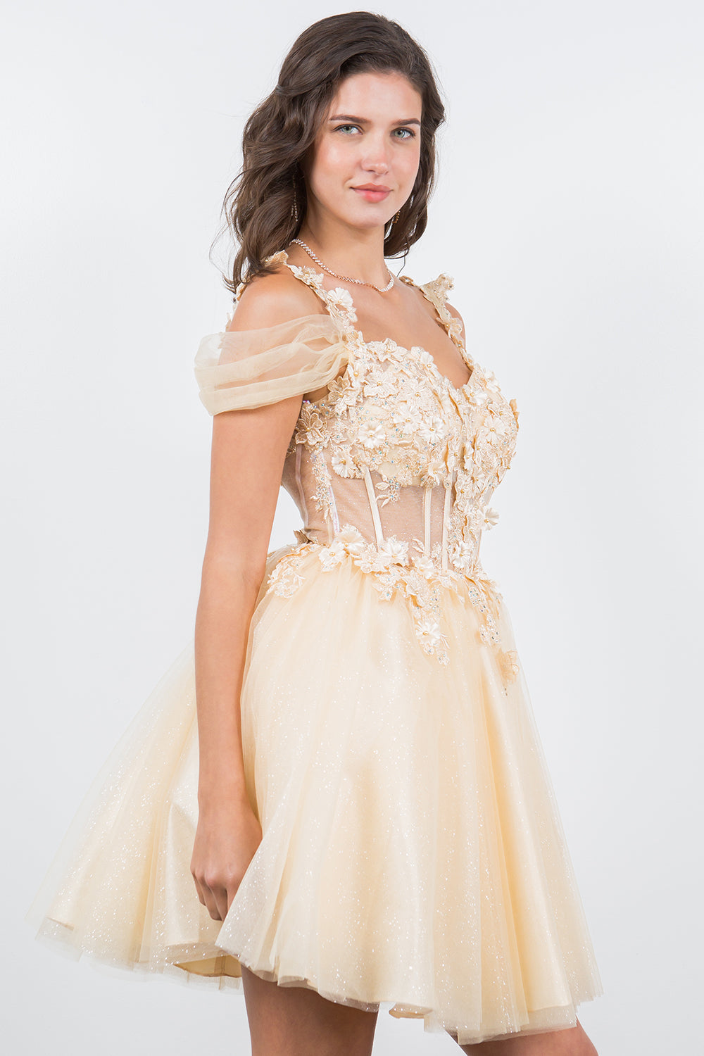 3D Floral Appliqué Corset Mini Dress - 5134J