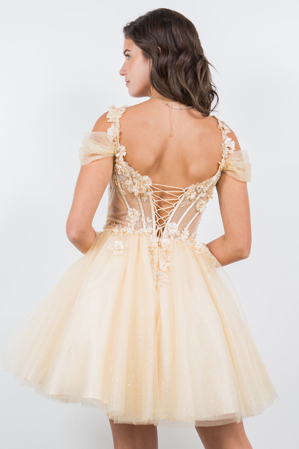 3D Floral Appliqué Corset Mini Dress - 5134J