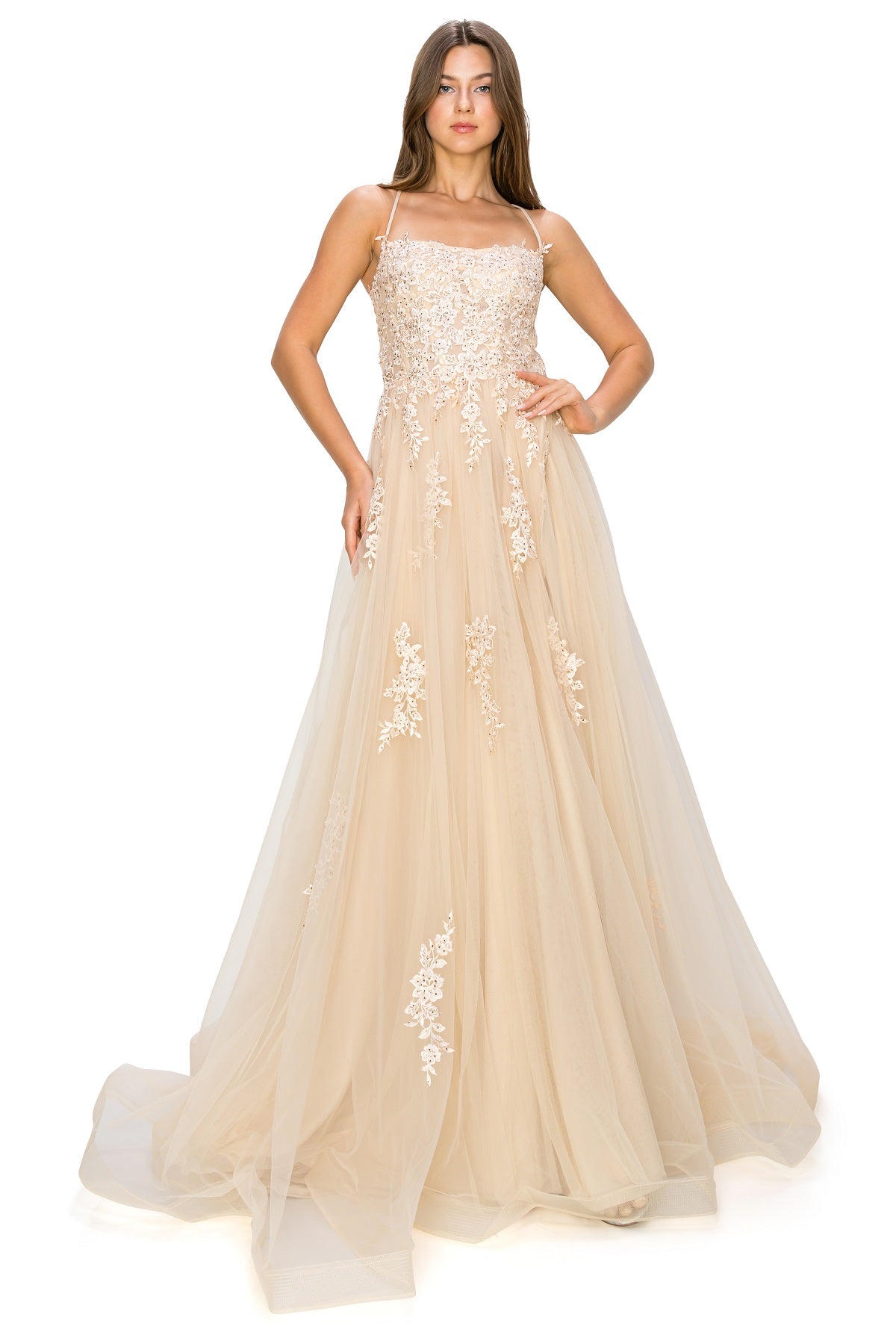 Tulle Ball Gown with Lace Appliqué - Style 8031J