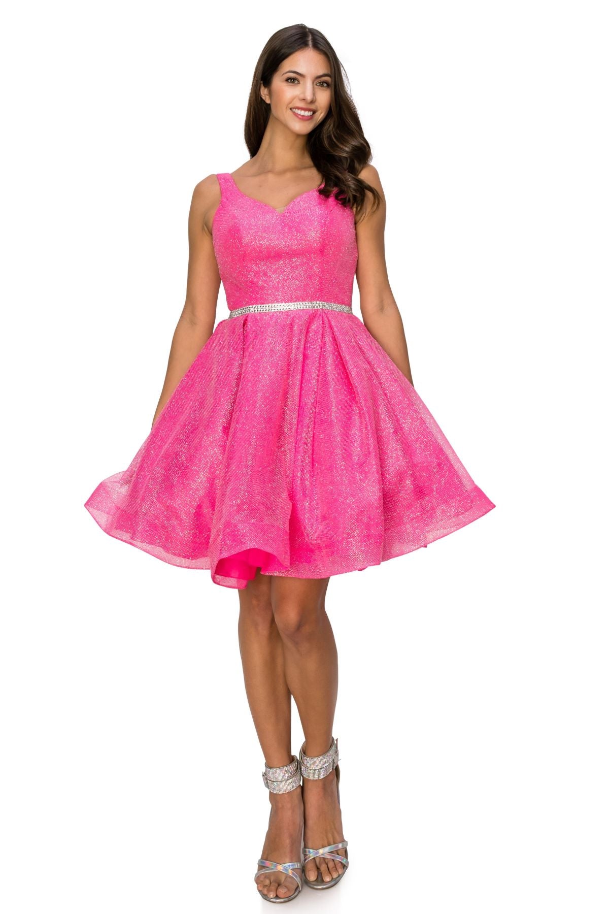 Glitter Mesh Fit & Flare Dress - 8047J
