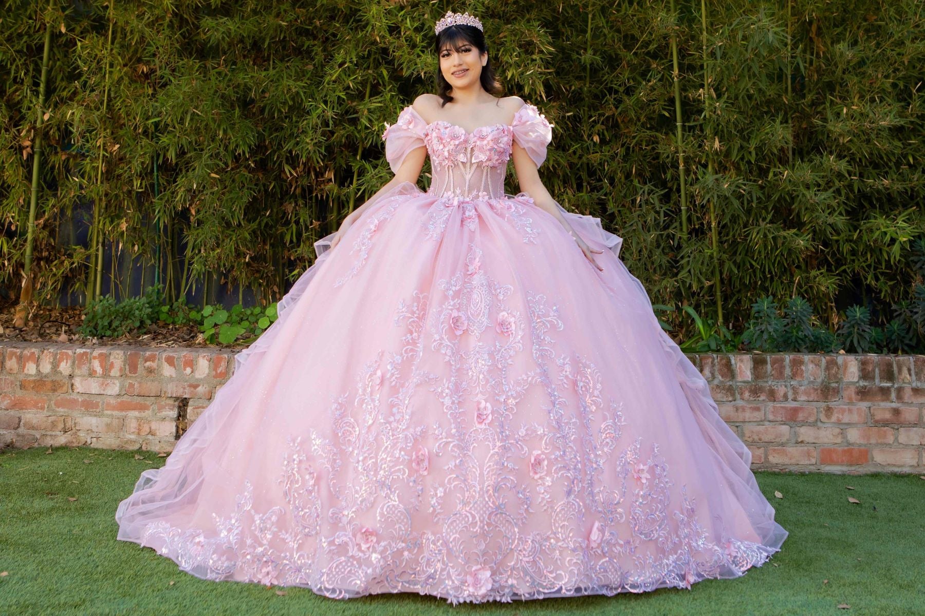 Romantic Floral Embroidered Quinceañera Ball Gown - 8330J