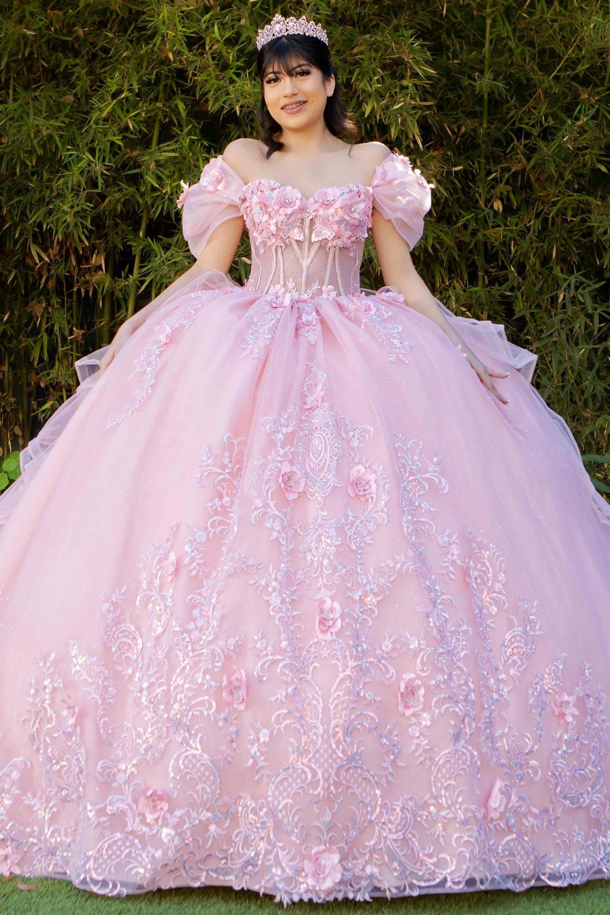 Romantic Floral Embroidered Quinceañera Ball Gown - 8330J