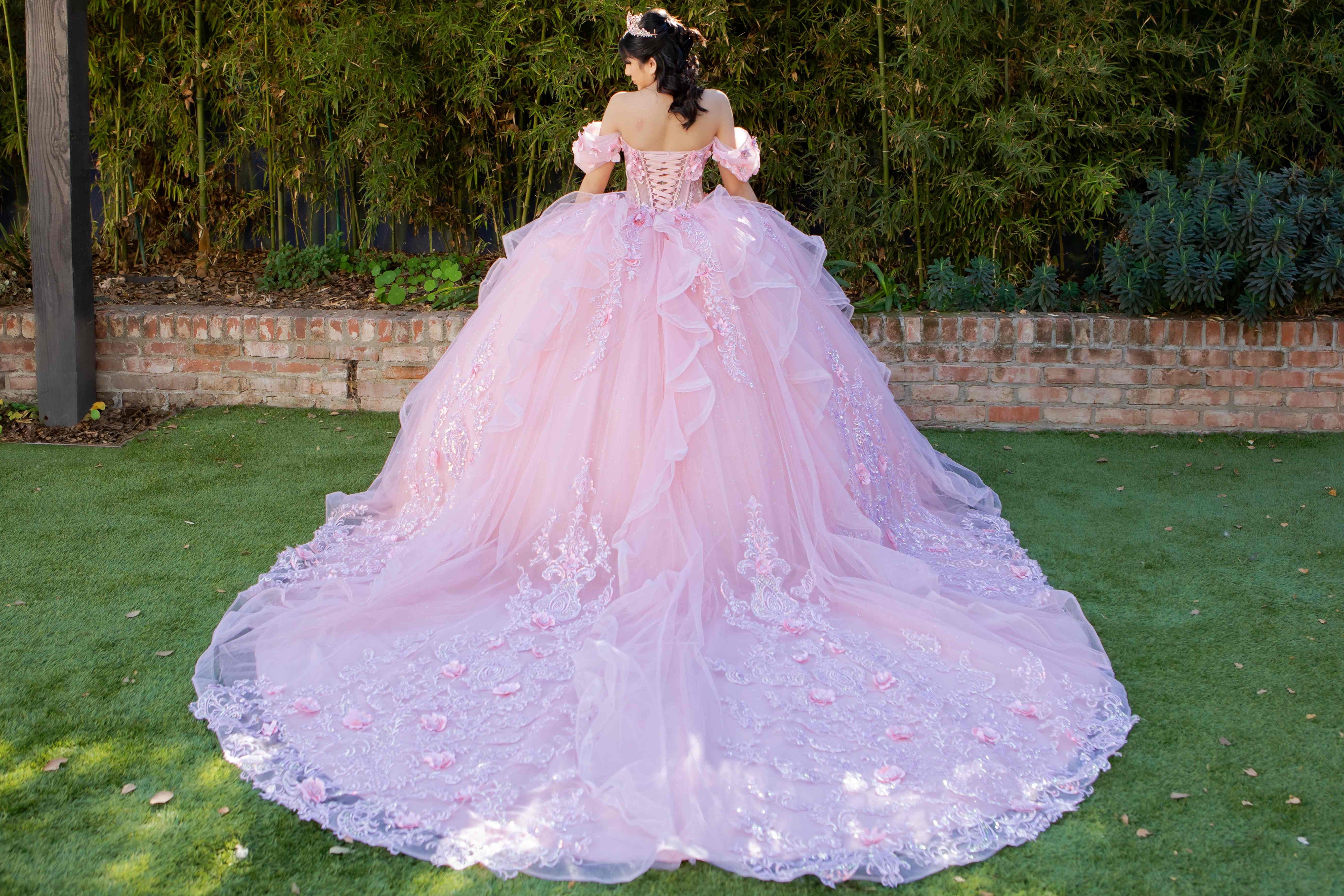 Romantic Floral Embroidered Quinceañera Ball Gown - 8330J