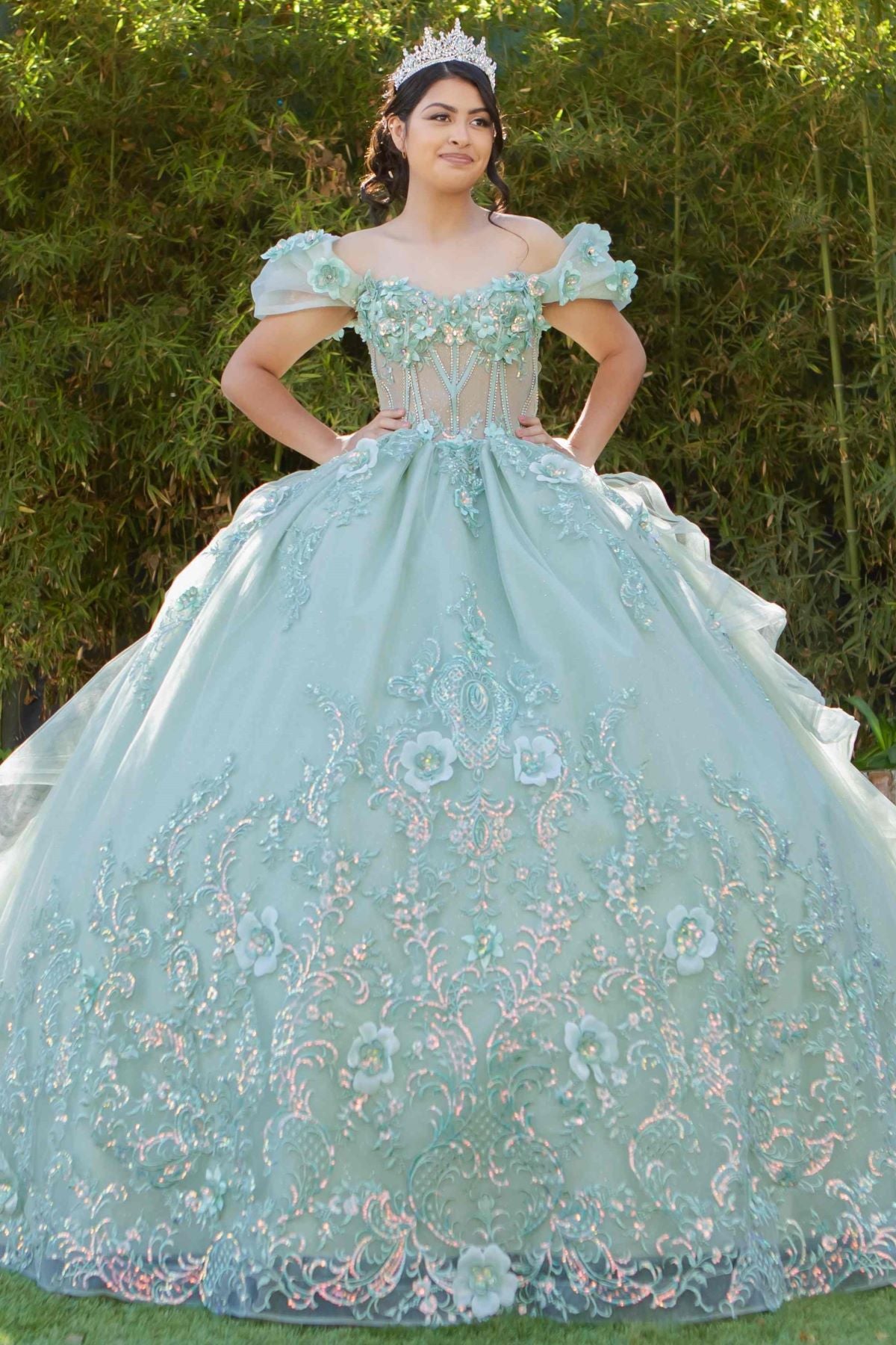 Romantic Floral Embroidered Quinceañera Ball Gown - 8330J